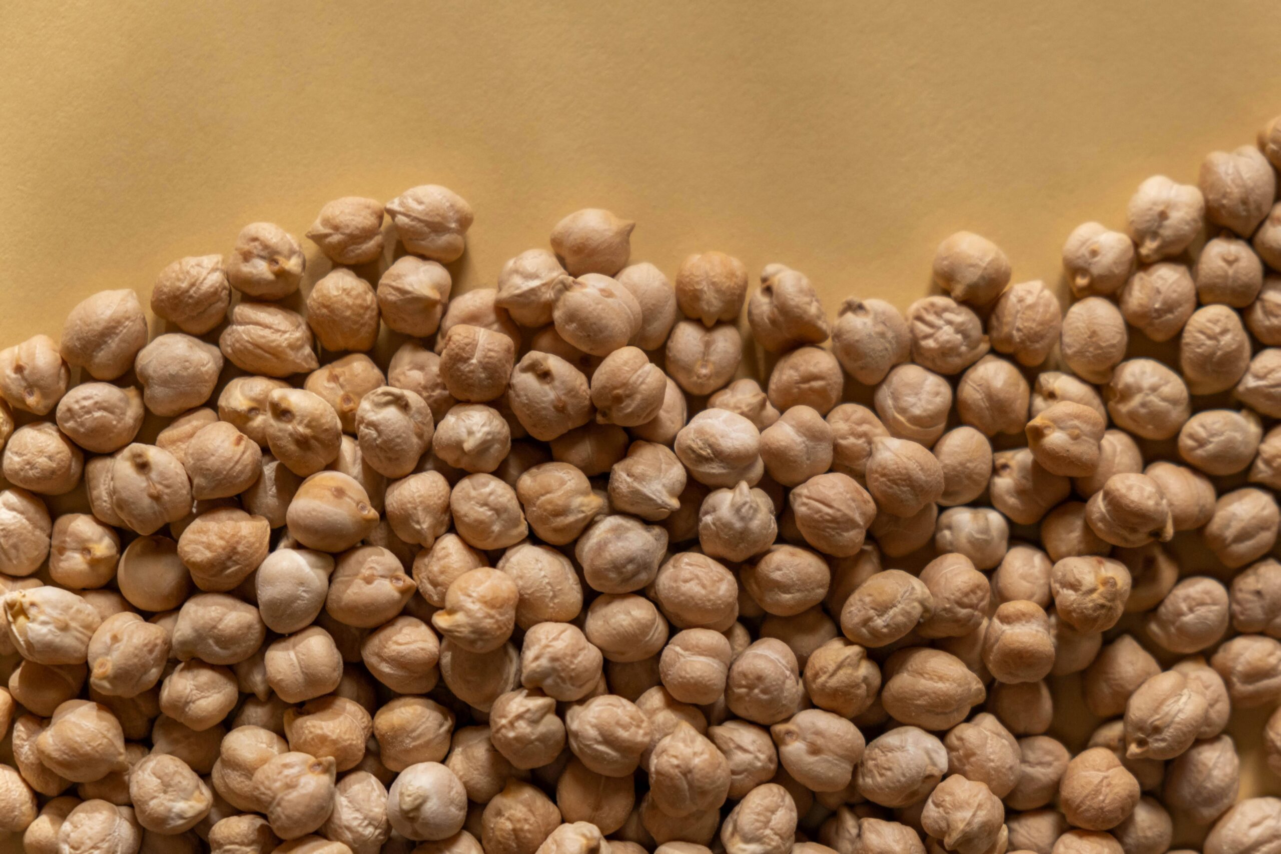 chickpea protein