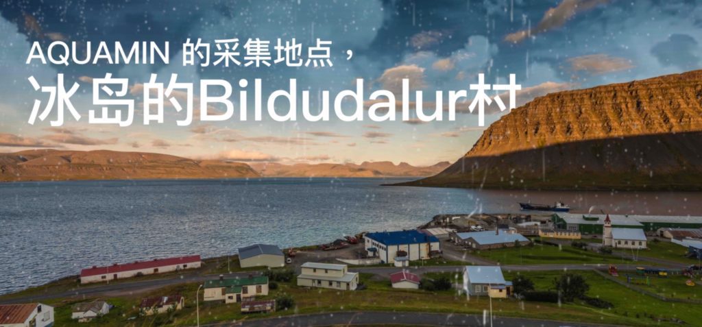 Bildudalar